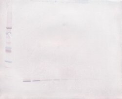 Invitrogen EGF Polyclonal Antibody, PeproTech , Invitrogen 50 &mu;g; Unconjugated:Antibodies,