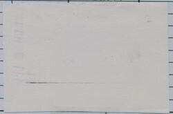 Invitrogen IL-13 Polyclonal Antibody, PeproTech , Invitrogen 100 &mu;g;