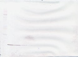 PeproTech Resistin Polyclonal Antibody, PeproTech , Invitrogen 50 &mu;g;