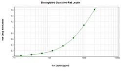 Leptin Polyclonal Antibody, Biotin, PeproTech , Invitrogen:Antibodies:Primary