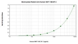 NNT1 Polyclonal Antibody, Biotin, PeproTech , Invitrogen:Antibodies:Primary