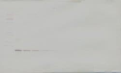 PeproTech IL-19 Polyclonal Antibody, PeproTech , Invitrogen 1 mg; Unconjugated:Antibodies,