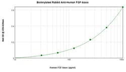 Invitrogen FGF2 Polyclonal Antibody, Biotin, PeproTech , Invitrogen 500