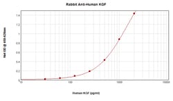 KGF Polyclonal Antibody, PeproTech , Invitrogen:Antibodies:Primary Antibodies