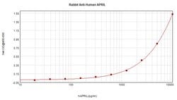 PeproTech APRIL Polyclonal Antibody, PeproTech , Invitrogen 1 mg; Unconjugated:Antibodies,