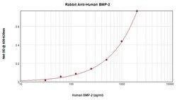 BMP-2 Polyclonal Antibody, PeproTech , Invitrogen:Antibodies:Primary Antibodies