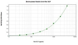 SCF Polyclonal Antibody, Biotin, PeproTech , Invitrogen:Antibodies:Primary