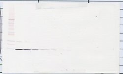IL-22 Polyclonal Antibody, PeproTech , Invitrogen:Antibodies:Primary Antibodies