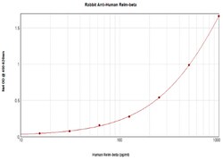 PeproTech RELM beta Polyclonal Antibody, PeproTech , Invitrogen:Antibodies:Primary
