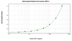 Invitrogen GDF3 Polyclonal Antibody, Biotin, PeproTech , Invitrogen 25