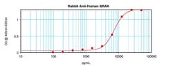 CXCL14 Polyclonal Antibody, PeproTech , Invitrogen:Antibodies:Primary Antibodies