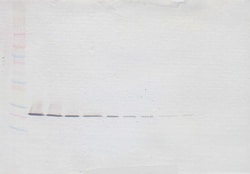 PeproTech CRP Polyclonal Antibody, PeproTech , Invitrogen 50 &mu;g; Unconjugated:Antibodies,