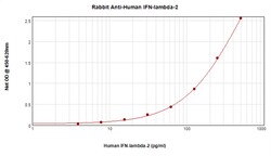 IL-28A Polyclonal Antibody, PeproTech , Invitrogen:Antibodies:Primary Antibodies