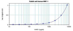 Invitrogen WNT1 Polyclonal Antibody, PeproTech , Invitrogen 1 mg; Unconjugated:Antibodies,