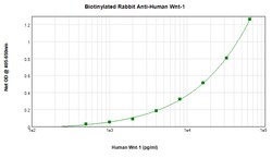 PeproTech WNT1 Polyclonal Antibody, Biotin, PeproTech , Invitrogen 500