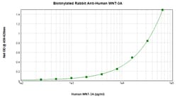 Invitrogen WNT3A Polyclonal Antibody, Biotin, PeproTech , Invitrogen 500