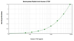 CTGF Polyclonal Antibody, Biotin, PeproTech , Invitrogen:Antibodies:Primary