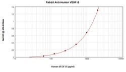 Invitrogen VEGFB Polyclonal Antibody, PeproTech , Invitrogen 100 &mu;g;
