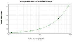 Invitrogen Neuroserpin Polyclonal Antibody, Biotin, PeproTech , Invitrogen