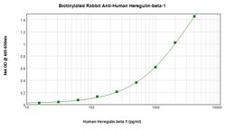 Invitrogen HRG beta-1 Polyclonal Antibody, Biotin, PeproTech , Invitrogen