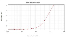 Klotho Polyclonal Antibody, PeproTech , Invitrogen:Antibodies:Primary Antibodies