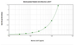 LIGHT Polyclonal Antibody, Biotin, PeproTech , Invitrogen:Antibodies:Primary