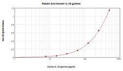 IL1F9 Polyclonal Antibody, PeproTech , Invitrogen:Antibodies, Polyclonal