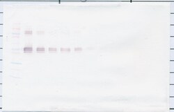 PeproTech CD14 (soluble) Polyclonal Antibody, PeproTech , Invitrogen:Antibodies:Primary