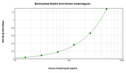 Invitrogen Amphiregulin Polyclonal Antibody, Biotin, PeproTech , Invitrogen