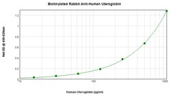 Invitrogen Uteroglobin Polyclonal Antibody, Biotin, PeproTech , Invitrogen