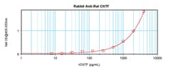 CNTF Polyclonal Antibody, PeproTech , Invitrogen:Antibodies:Primary Antibodies