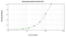 CNTF Polyclonal Antibody, Biotin, PeproTech , Invitrogen:Antibodies:Primary