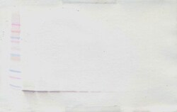 CXCL12 alpha (SDF-1 alpha) Polyclonal Antibody, PeproTech , Invitrogen:Antibodies:Primary