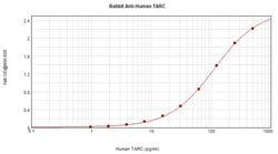 TARC Polyclonal Antibody, PeproTech , Invitrogen:Antibodies:Primary Antibodies