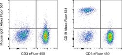 CD19 Monoclonal Antibody (HIB19), Alexa Fluor 561, eBioscience , Invitrogen:Antibodies:Primary