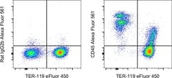 Invitrogen CD45 Monoclonal Antibody (30-F11), Alexa Fluor 561, eBioscience