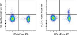 Invitrogen FOXP3 Monoclonal Antibody (PCH101), Alexa Fluor 561, eBioscience