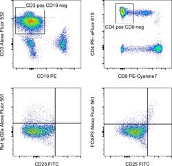 Invitrogen FOXP3 Monoclonal Antibody (PCH101), Alexa Fluor 561, eBioscience