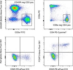 FOXP3 Monoclonal Antibody (FJK-16s), Alexa Fluor 561, eBioscience , Invitrogen:Antibodies:Primary