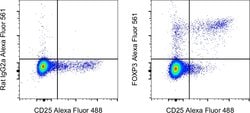 FOXP3 Monoclonal Antibody (FJK-16s), Alexa Fluor 561, eBioscience , Invitrogen:Antibodies:Primary