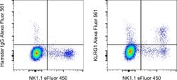 Invitrogen KLRG1 Monoclonal Antibody (2F1), Alexa Fluor 561, eBioscience