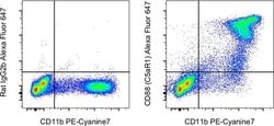 CD88 (C5aR1) Monoclonal Antibody (20/70), Alexa Fluor 647, eBioscience
