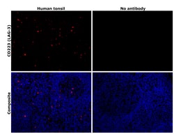 Invitrogen CD223 (LAG-3) Monoclonal Antibody (3DS223H), Alexa Fluor 647,