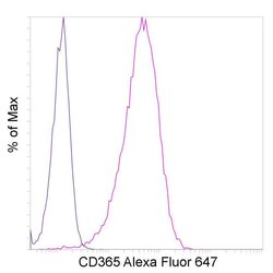 Invitrogen CD365 (Tim-1) Recombinant Rabbit Monoclonal Antibody (P365D),