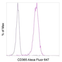 Invitrogen CD365 (Tim-1) Recombinant Rabbit Monoclonal Antibody (P365D),