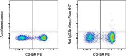 Invitrogen&trade;&nbsp;Rat IgG2b kappa Isotype Control (eB149/10H5), Alexa Fluor&trade; 647, eBioscience&trade;