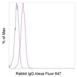 Rabbit IgG Isotype Control (RbNP15), Alexa Fluor™ 647, eBioscience™, Invitrogen™