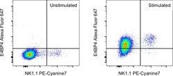Invitrogen E4BP4 (NFIL3) Monoclonal Antibody (S2M-E19), Alexa Fluor 647,