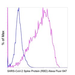 Invitrogen SARS-CoV-2 Spike Protein (RBD) Chimeric Recombinant Rabbit Monoclonal