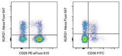 KLRG1 Monoclonal Antibody (13F12F2), Alexa Fluor 647, eBioscience , Invitrogen:Antibodies:Primary